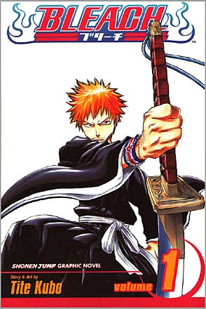bleach vol 1 strawberry and the soul reapers tite kubo