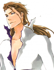 Ichigo Kurosaki vs. Sōsuke Aizen, Bleach Wiki