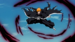 Collision! Black Bankai and White Bankai, Bleach Wiki