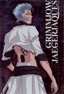 Bleach Grimmjow Pantherform