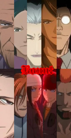 Bleach: Blade Battlers, Bleach Wiki