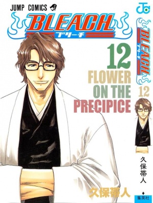 Bleach Volume 12 Bleach Wiki Neoseeker