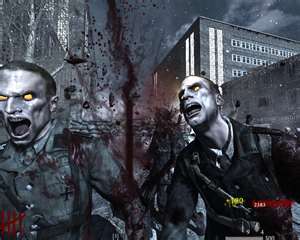 Call of Duty 2 (Windows Mobile), Call of Duty Wiki