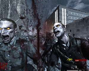 Call of Duty: Finest Hour, Call of Duty Wiki