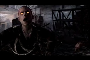 Call of Duty: World at War, Nazi Zombies Wiki