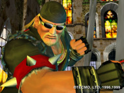 DOA: Dead or Alive, Dead or Alive Wiki