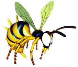 【BIG CASTLE】Zingy’s ジンギーズ 2冊 BIG CASTLE】Zingy's ジンギーズ 2冊 BIG CASTLE】Zingy's