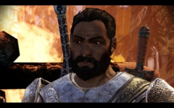 The Warden, Dragon Age Wiki