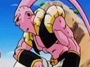 Buu forms explained