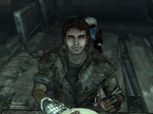 Fallout 3, Fallout Wiki