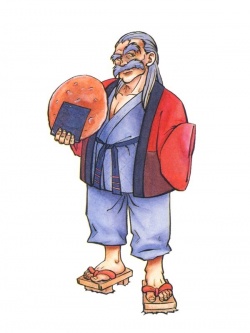 Terry Bogard, Fatal Fury Wiki