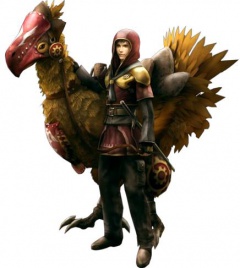 Chocobo series, Final Fantasy Wiki