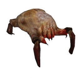 A normal headcrab