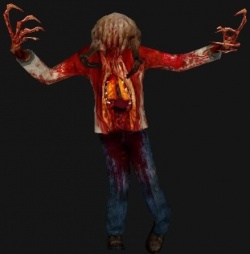 Zombie, Half-Life Wiki