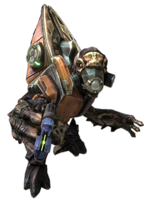 Master Chief, Halo Wiki