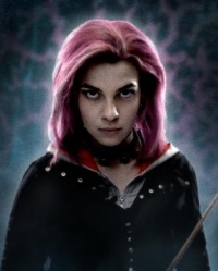 Hermione Granger, Harry Potter Wiki