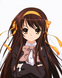 Haruhi Suzumiya, Haruhi Wiki