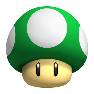 Mario, Wii Wiki