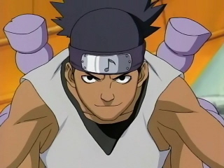 Iruka Sensei, Wiki