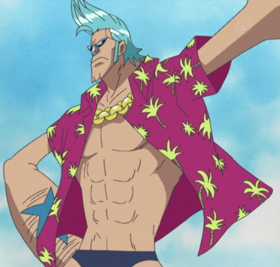 One Piece Wiki png images