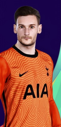 Hugo Lloris, Tottenham Hotspur Wiki