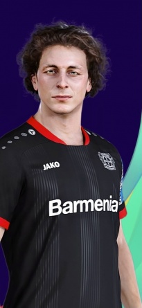 Julian Baumgartlinger - Wikipedia