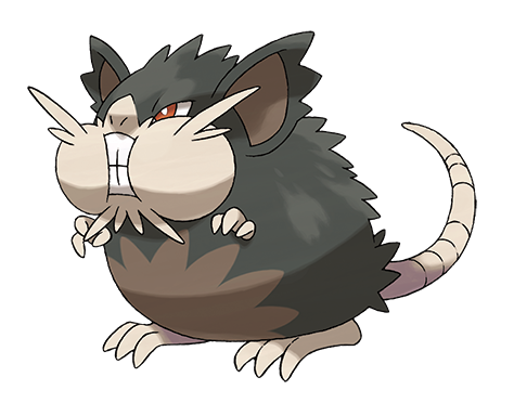 Alolan Raticate - Pokémon Wiki - Neoseeker