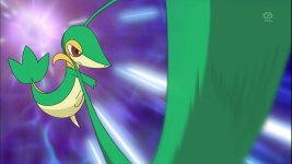 Snivy Plays Hard to Catch! - Pokémon Wiki - Neoseeker