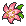 Glacidea flower.png