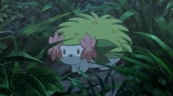 Shaymin sky form, Wiki