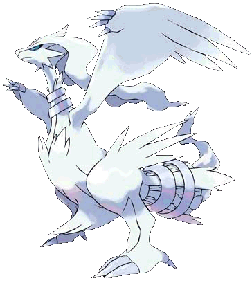 Reshiram Pokémon Wiki Neoseeker