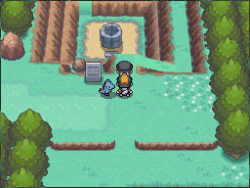 North American, European versions of HeartGold, SoulSilver