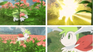 Shaymin and Gracidea Flowers by South-Williams on DeviantArt