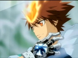 Katekyo Hitman Reborn, Wiki