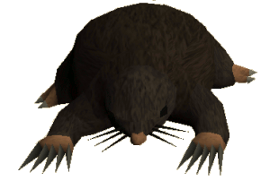 Giant Oyster - The RuneScape Wiki