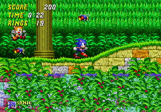 Sonic the Hedgehog (2013), Sonic Wiki Zone