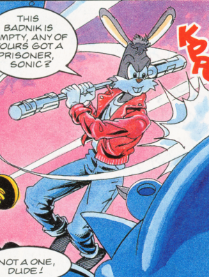 Sonic the Hedgehog/History and appearances (IDW), Sonic Wiki Zone