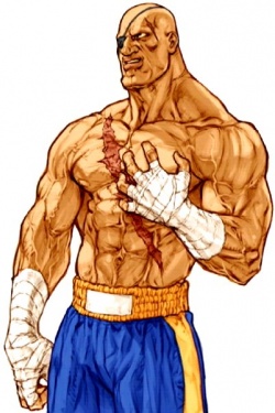 Muay Thai, Street Fighter Wiki